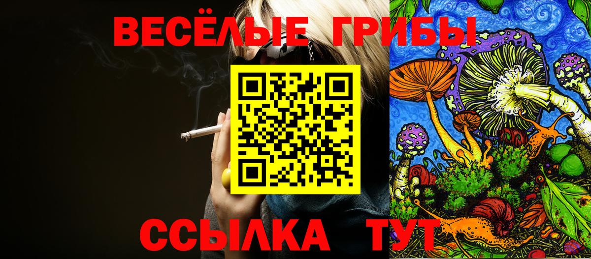 Армавир  Псилоцибиновые грибы прущие грибы  Псилоцибиновые грибы Magic Shrooms  Вход с VPN 